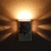 Southwest Night Light